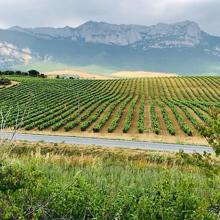 La Casona De Alutiz & Bodega *