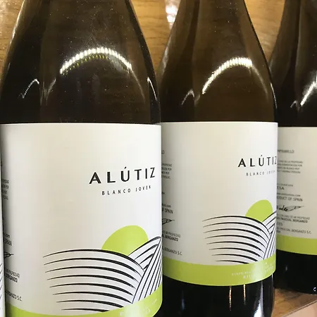 La Casona De Alútiz&bodega Casa rural *